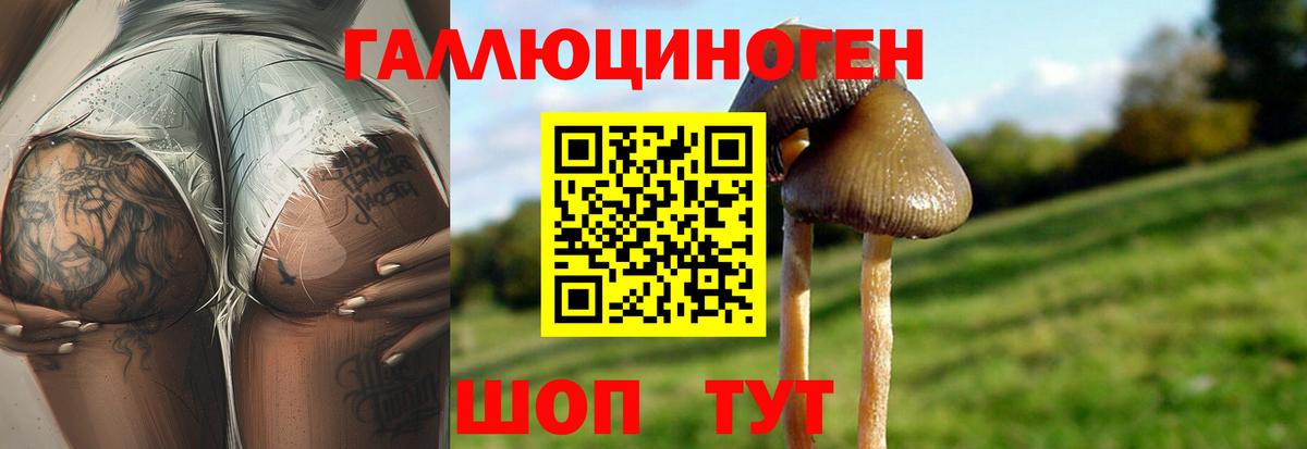 Бутурлиновка  Псилоцибиновые грибы GOLDEN TEACHER  Вход с VPN 